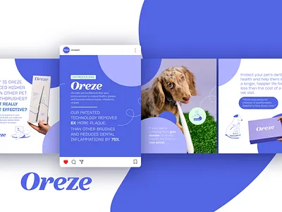 Pet Care Ad Design ad advertising cpg design ig instagram meta pet pet care