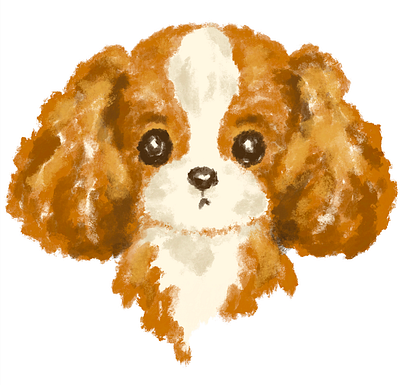 Cavalier King Charles Spaniel Puppy animal cavalier king charles spaniel character character design cute dog illustration kawaii pet puppy