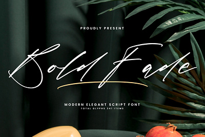 Bold Fade - Modern Elegant Script Font style
