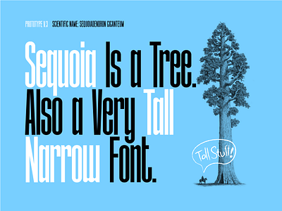 Sequoia.otf face font narrow sequoia type typeface