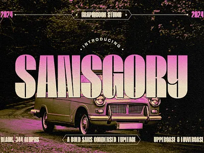 Sansgory graphicook unique