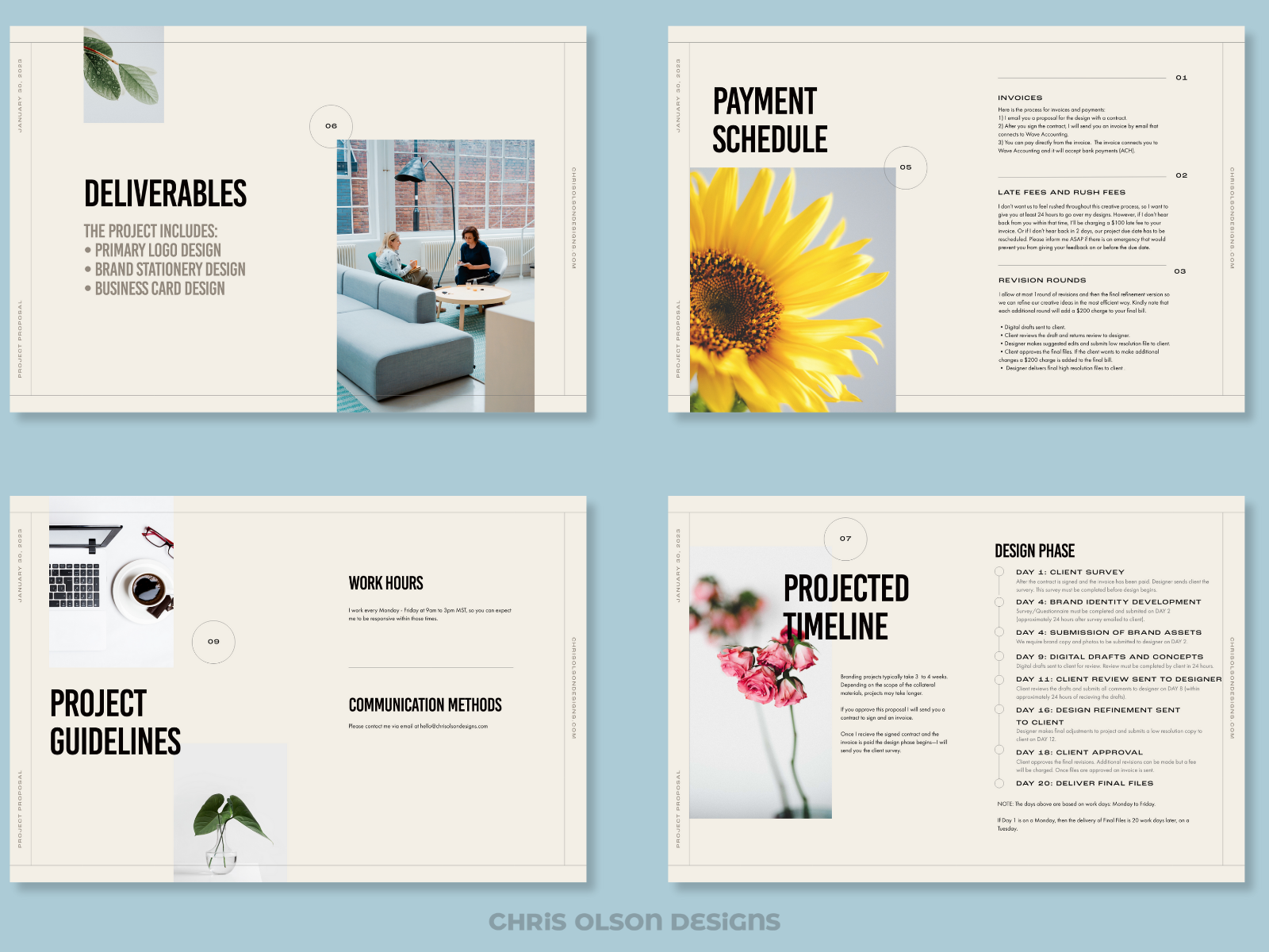 Example of Presentation Design Services