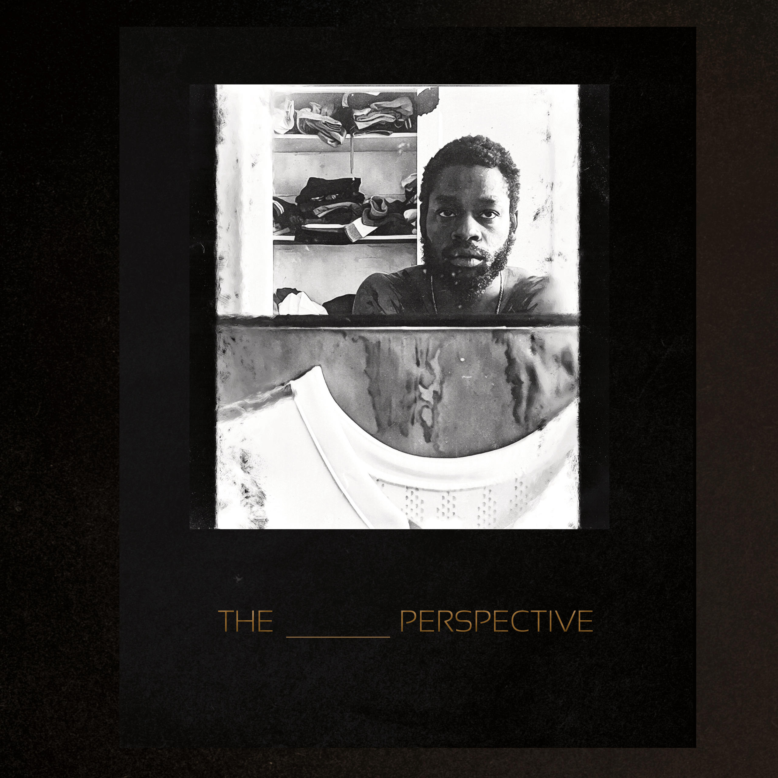 The ___ Perspective - Book Cover book cover design graphic design
