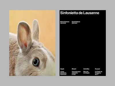 Modern Concert Visual Identity art direction classical concert clean structure concert branding creative concept editorial design geometric balance graphic layout layout grid minimalist approach modern poster music visual poster composition rabbit photo sans serif swiss typography typographic poster visual hierarchy visual identity