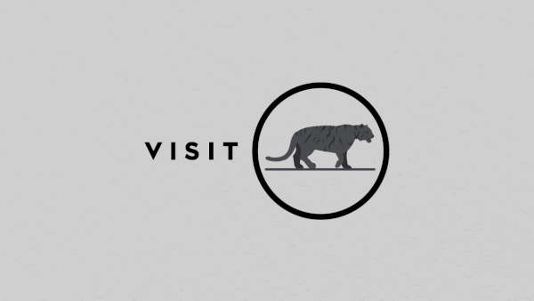 Walking Tiger animation branding design drawing graphic design illustration loop motion graphics oslo tiger vector