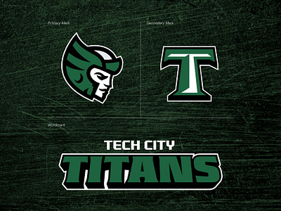 WPBA Logo | Tech City Titans branding design graphic design illustration logo sports vector