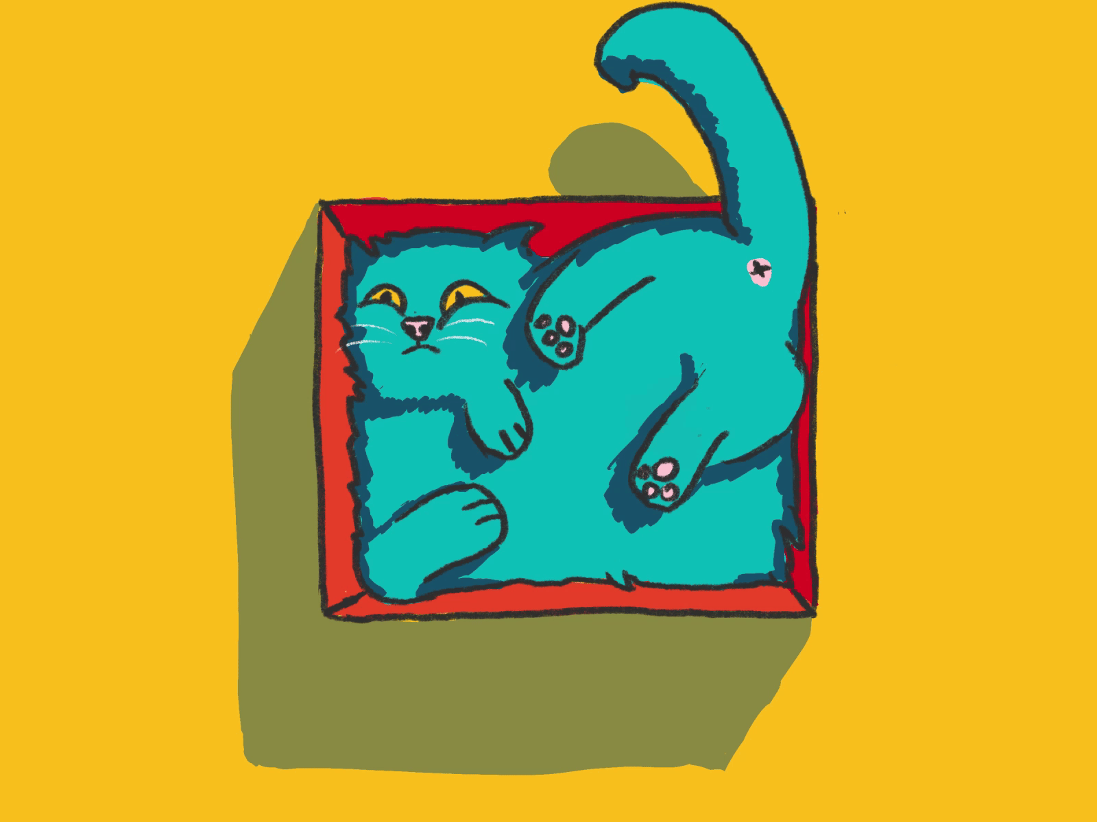 Cat box animated gif animatedgif animation cat cat in a box cel animation character framebyframe gastaloop illustration neko procreate