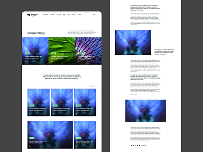 Redesign blog branding design desktop landingpage mobile responsive ui ux website