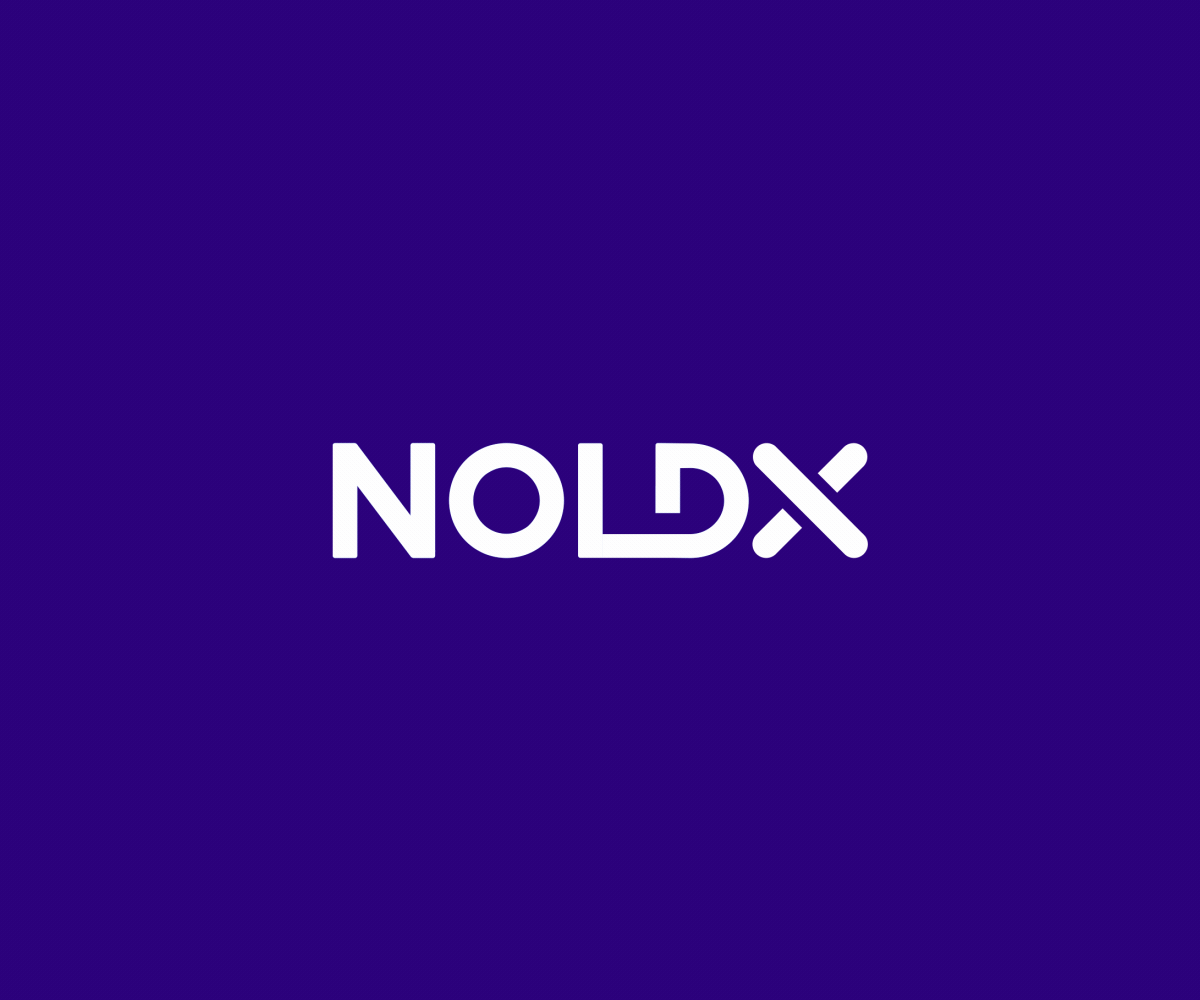 NoldX Logo Animation after effects animated logo intro logo animation logo reveal motion design motion graphics reveal youtube intro