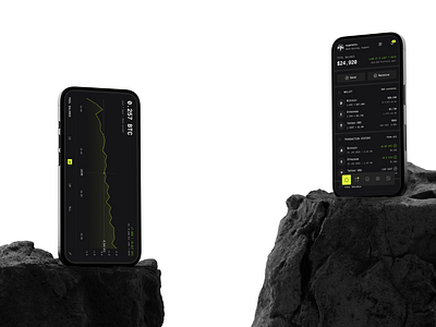 Modular Crypto Wallet UI — Realtime Balance, Custom Blocks, Grap cryptodesign designsystem figma fintechui interfacedesign realtimedata uxuidesign