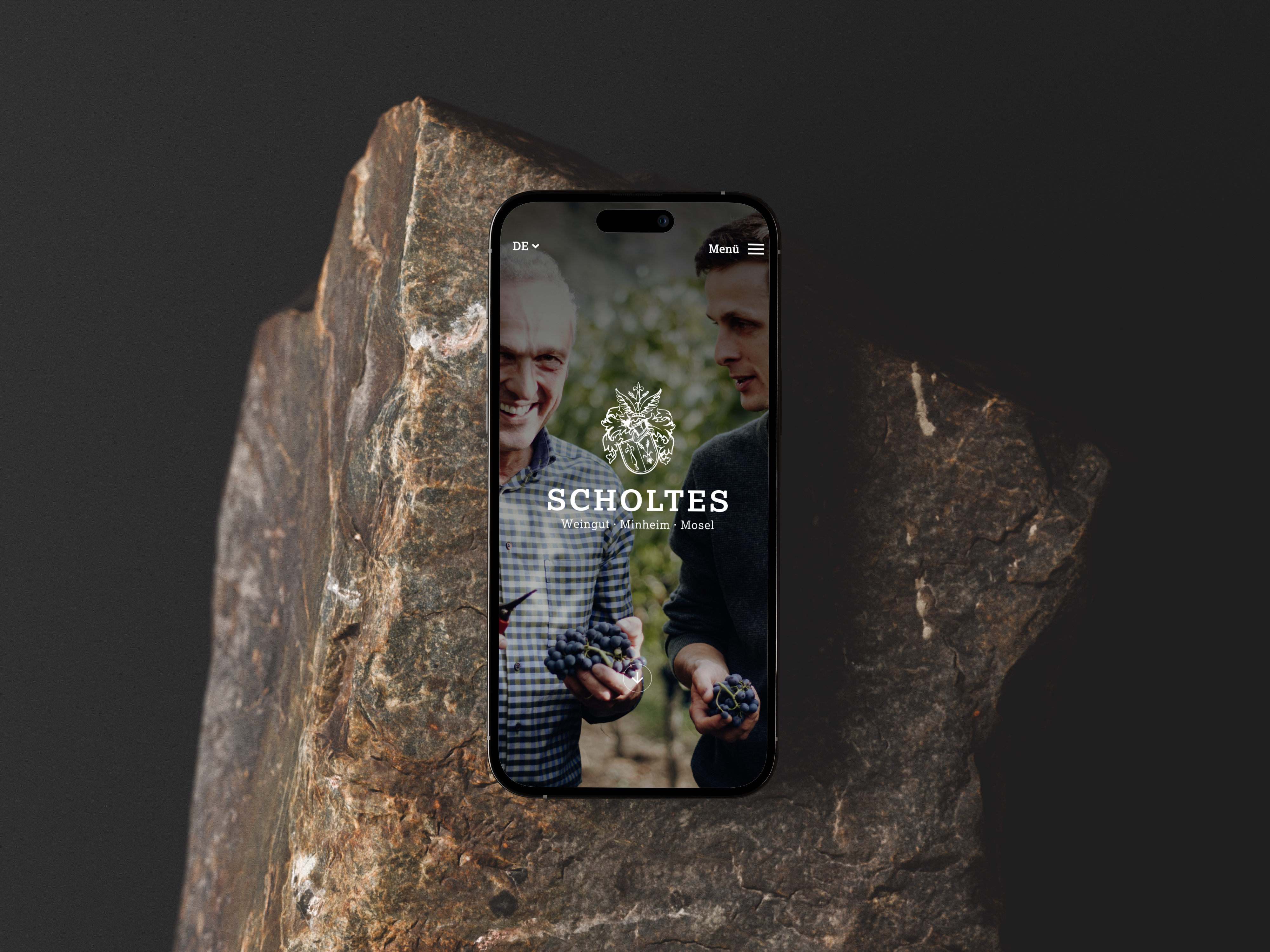 Vineyard Scholtes Website ui website