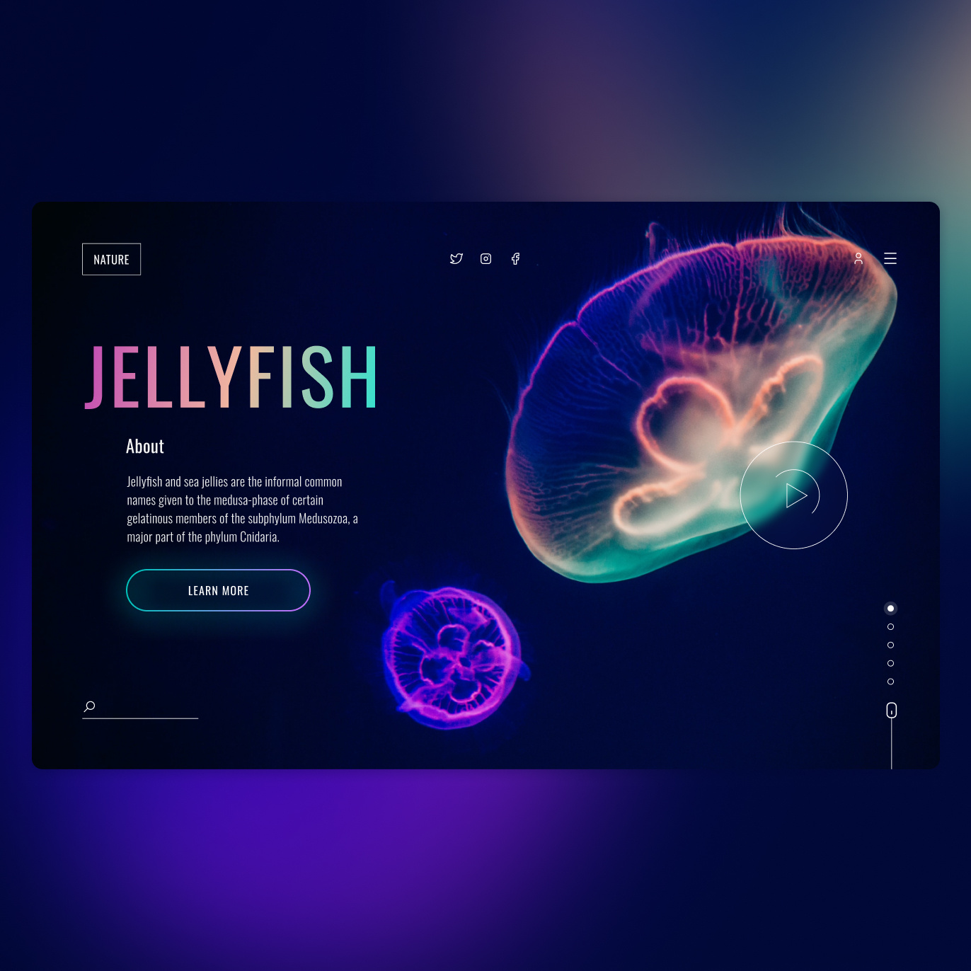 Jellyfish concept design photoshop ui web