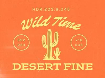 Cool Fonts brand branding design font fonts graphicdesign letter lettering poster retro type typeface typography vintage vintage design