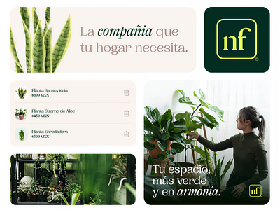 Natural friend | Branding 3d animation brand brand design branding design graphic design identy illustration logo motion graphics nature packaging plants ui visual identy