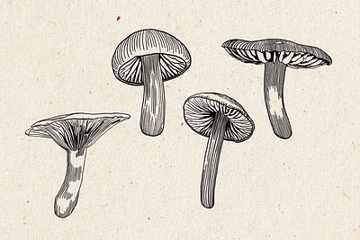 Mushroom Illustrations Line Art black and white botanical illustration clipart design asset digital art fine line flora forest hand drawn illustration illustration set ink drawing ink style line art monochrome mushroom natural forms nature organic whimsical