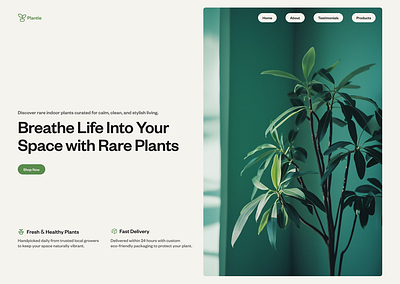 Plantie - Hero Section branding design graphic design illustration landing page typography ui ux web design