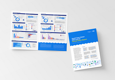 Data report