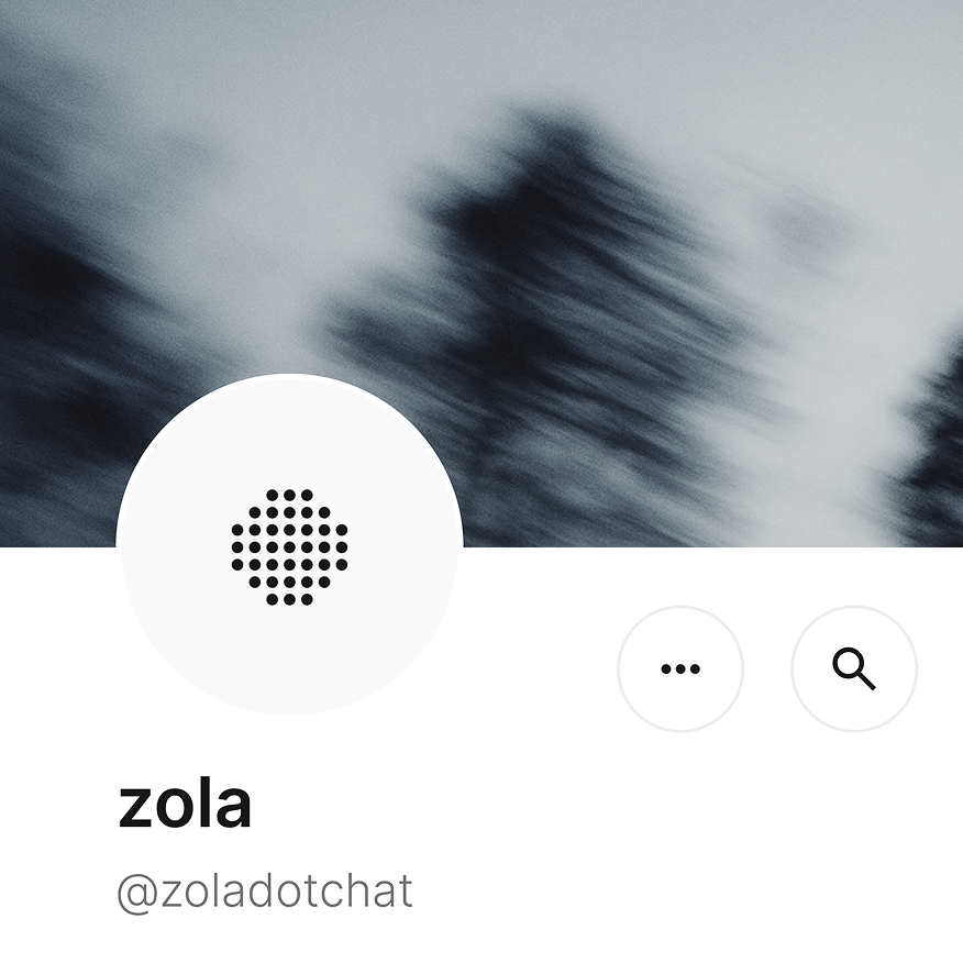 zola logo ai aichat brand branding figma logo product branding
