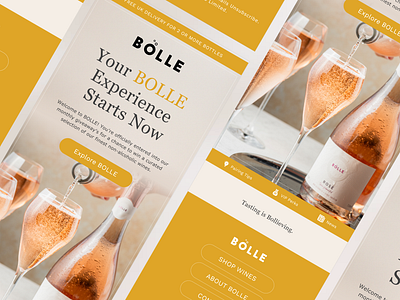 BOLLE Drinks | Email Template Design beverage marketing email campaign design email design email newsletter design email templates klaviyo design premium email templates retention wine industry design