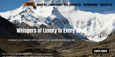 I Will Design a Modern Professional Perfume Website ecommerce luxury branding perfume website responsive design uiux design