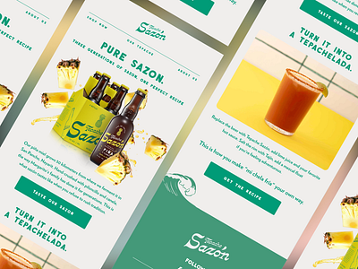 Sazón | Email Template Design cpg cpg email email campaign design email templates retention