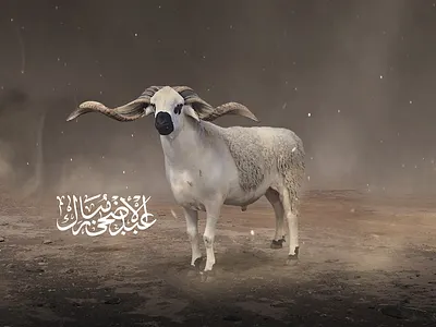 eid adha design arabic calligraphy and lettering artist eid al adha design ideas eid ul adha card design eid ul adha design eid ul adha poster design graphic design typography