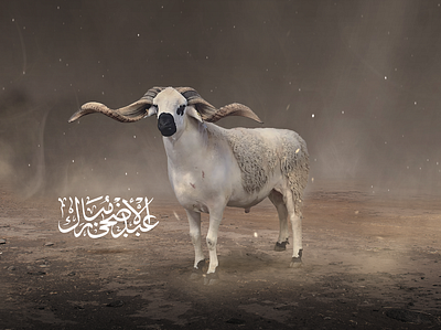 eid adha design arabic calligraphy and lettering artist eid al adha design ideas eid ul adha card design eid ul adha design eid ul adha poster design graphic design typography