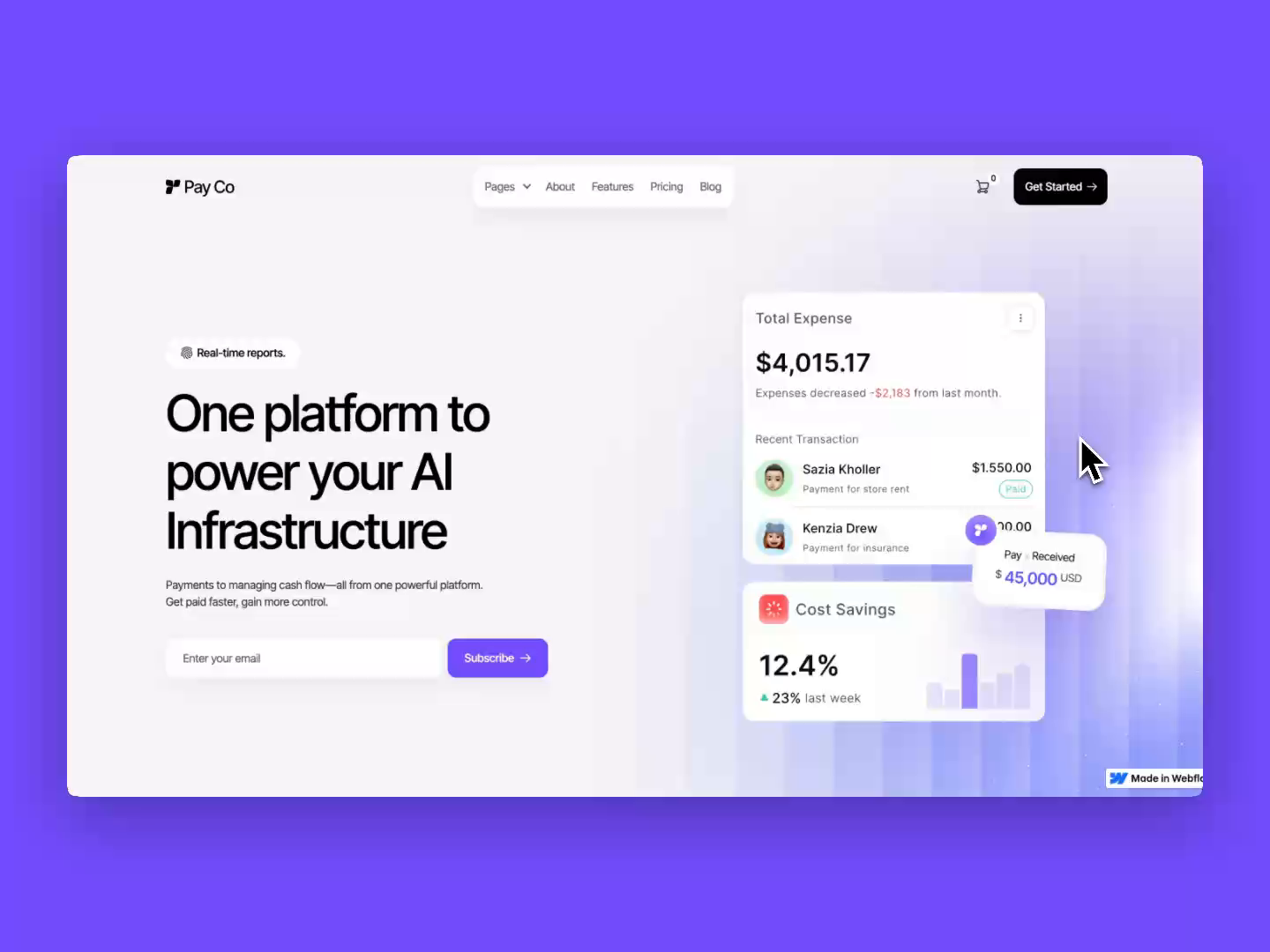 Example of Payco- SAAS Website Design