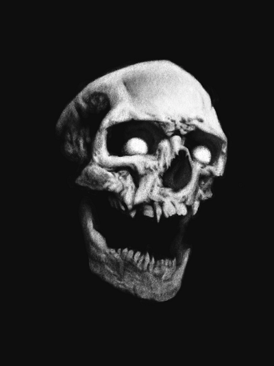 Charcoal Skull charcoal digital art procreate sketch skull