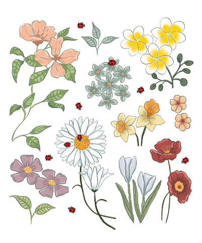 Sense of Spring branding design floral flowers graphic design illustration spring vector