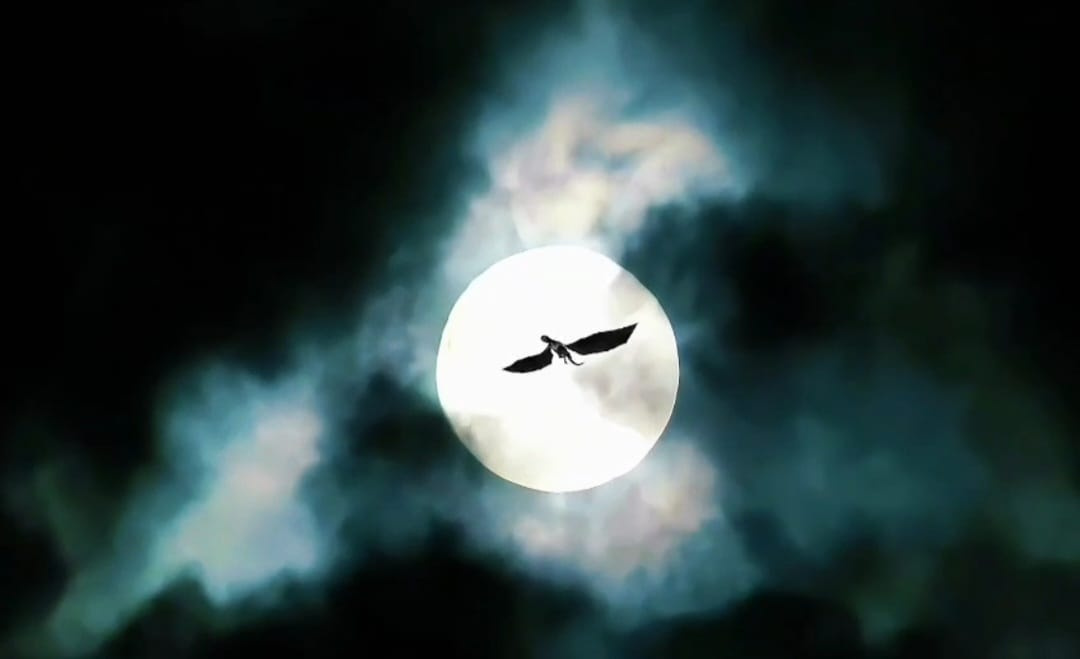 "Be Free" new art idea - Dragons. art capcut dragons gameofthrones graphic design motiondesign musical short sounddesign