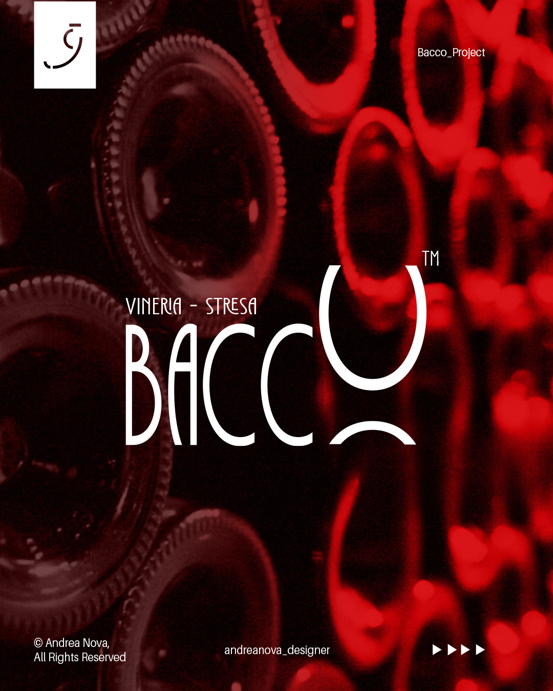 Example of Logo Design Service / Complete Pack