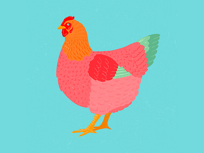 Partridge Plymouth Rock Hen barnyard bird chicken colourful design digital art drawing farmyard hen illustration livestock nature poultry procreate