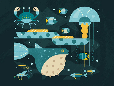 Depths of Wonder 2d adobe illustrator aquarium art character design design digital art fish illustration ocean sea