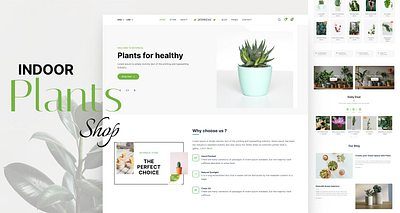 PLANTS E-COMMERCE LANDING PAGE UI animation branding branding design design ecommerce figma graphic design illustration logo plants product design ui uiux ux vector website