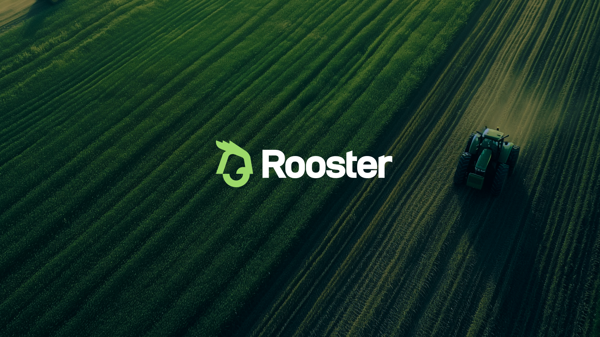 Rooster branding green logo rooster