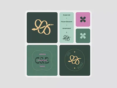 Coil & Bloom Branding Elements branding design logo nature inspired typography