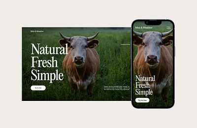 Moo & Meadow cow home page landing page milk milky ui ui design web design website website design
