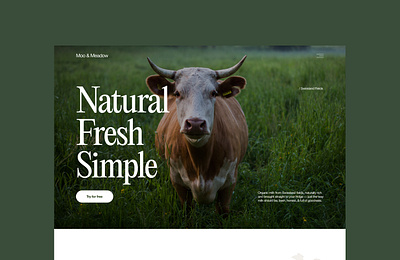 Moo & Meadow | Landing Page cow home page landing page milk milky ui ui design web design website website design