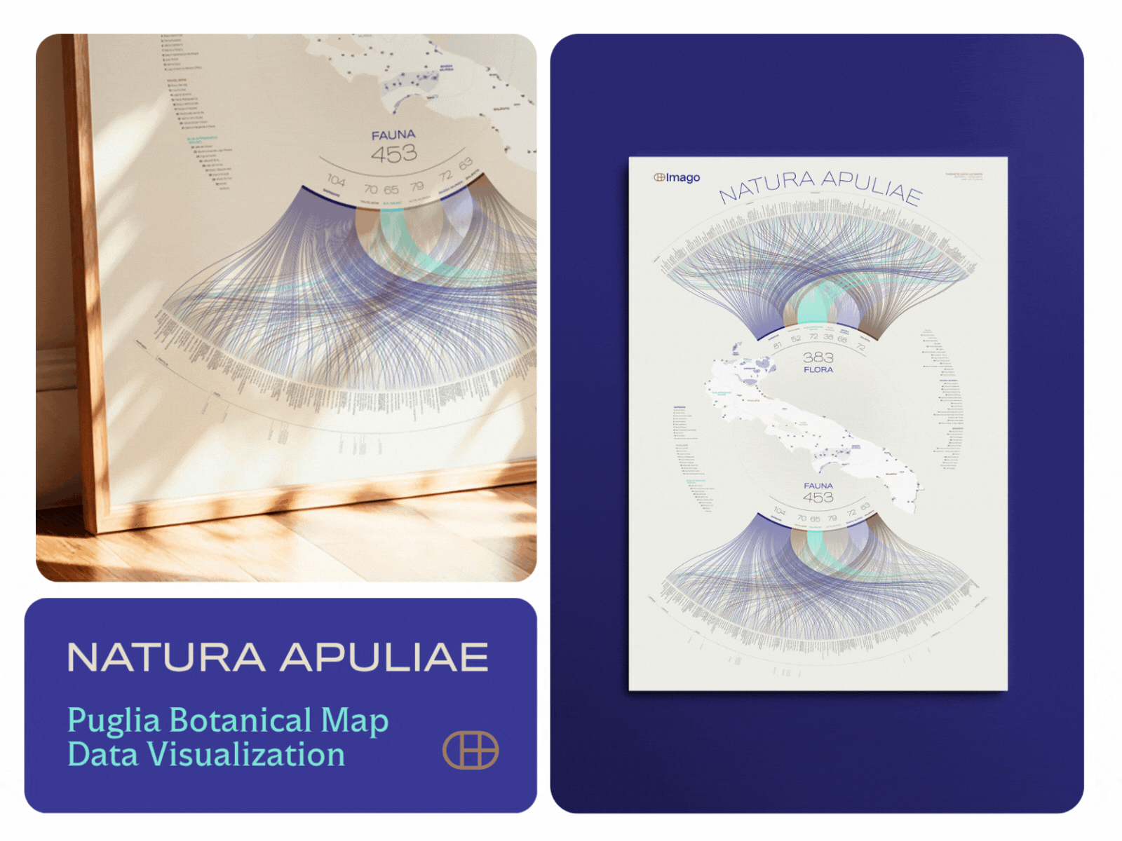Natura Apuliae | Botanical Map | Data Visualization data visualization graphic design infographic infographics information design map visual design