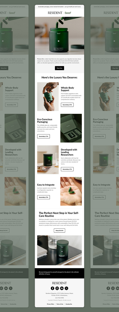 Promotional Email Marketing for Health & Wellness - Seed's DS-01 email design email marketing email marketing designs email marketing templates email template promotional email design