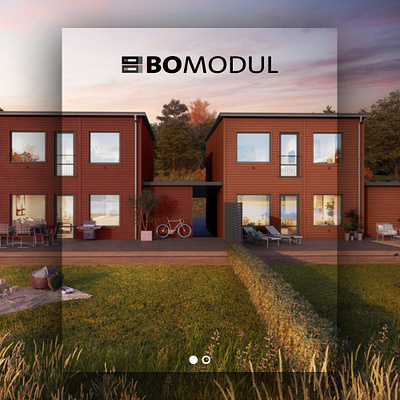 Bomodul website graphic design layout web design wordpress