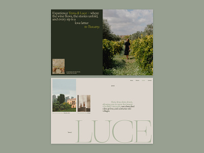 Web design concept for a hotel in Tuscany art direction design digital design figma graphic design layout typography ui ux uxui visual design web design webdesign website