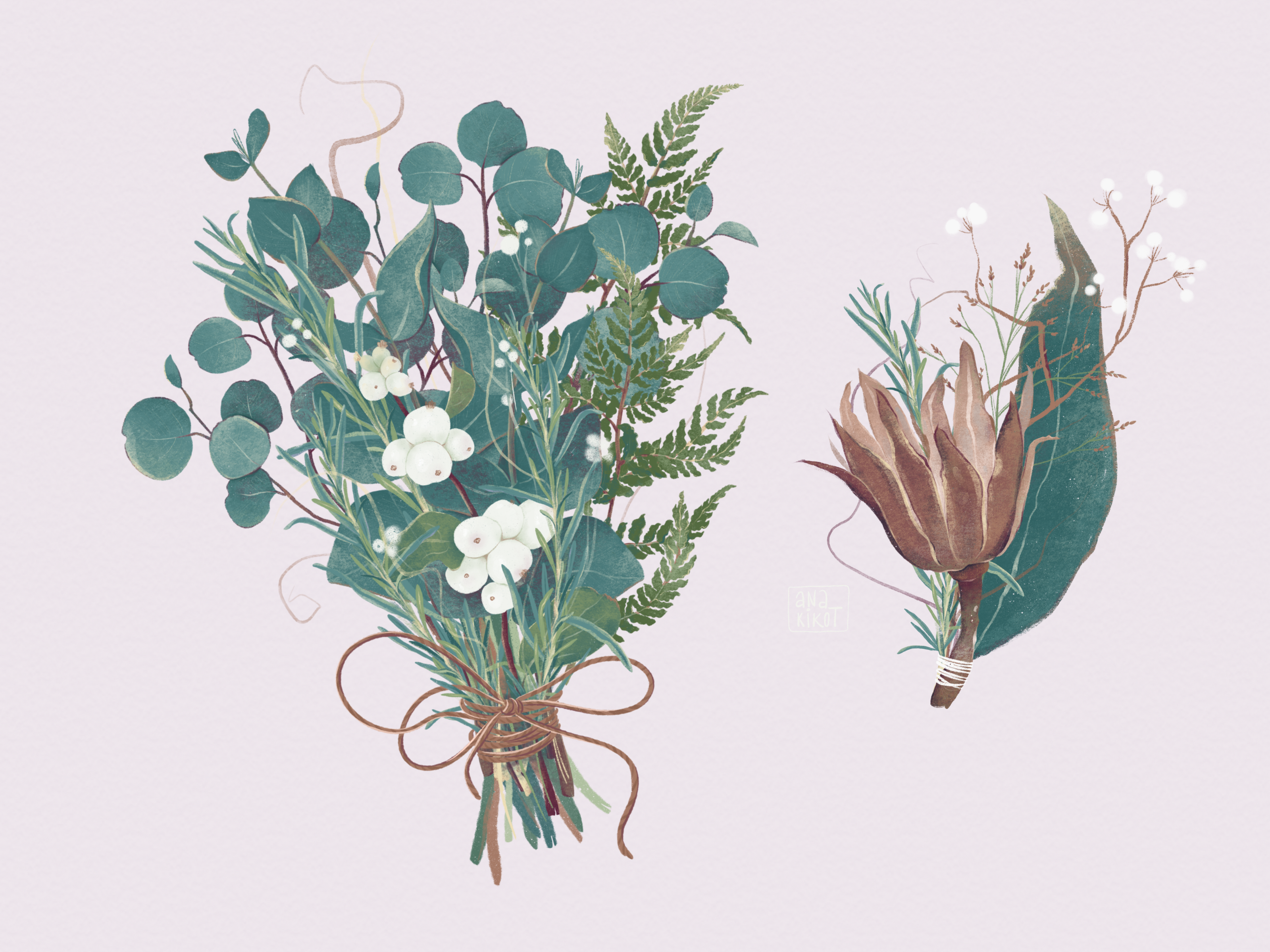 Example of Custom Botanical Illustration Set