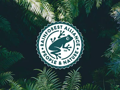 World Rainforest Day 2025 agriculture bananas climate change coffee environment environment conservation environment protection farming forest frog nature palm tree palm tree oil protect rainforest rainforest rainforest alliance shopping smart shopping sustainability tea