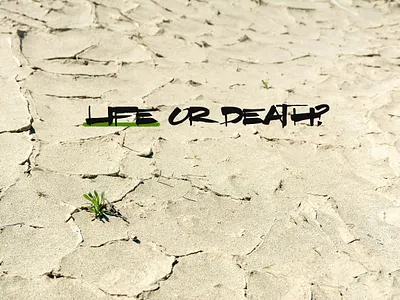 Desertification and Drought Day 2025 death desert desertification drought ecosystem environment conservation future heat heat wave humanism humanity inspiration land life plant survival sustainability temperature water world