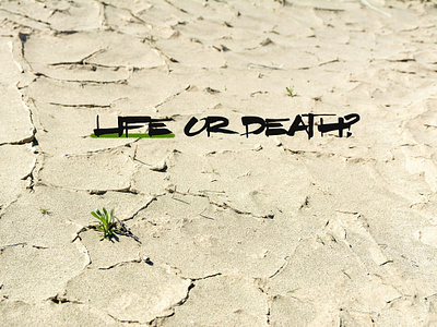Desertification and Drought Day 2025 death desert desertification drought ecosystem environment conservation future heat heat wave humanism humanity inspiration land life plant survival sustainability temperature water world