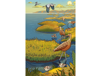 State of Nature adobe birdlife brush conservation digitalillustration digitalpainting educational grasslands illustration muti natureconservation natureeducation oceanlife oceans photoshop wacomgallery