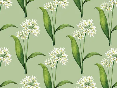 Wild Garlic Pattern botanical pattern cottagecore foraging herb garden kitchen garden nature seasonal surface pattern watercolour patterns wild food wild garlic