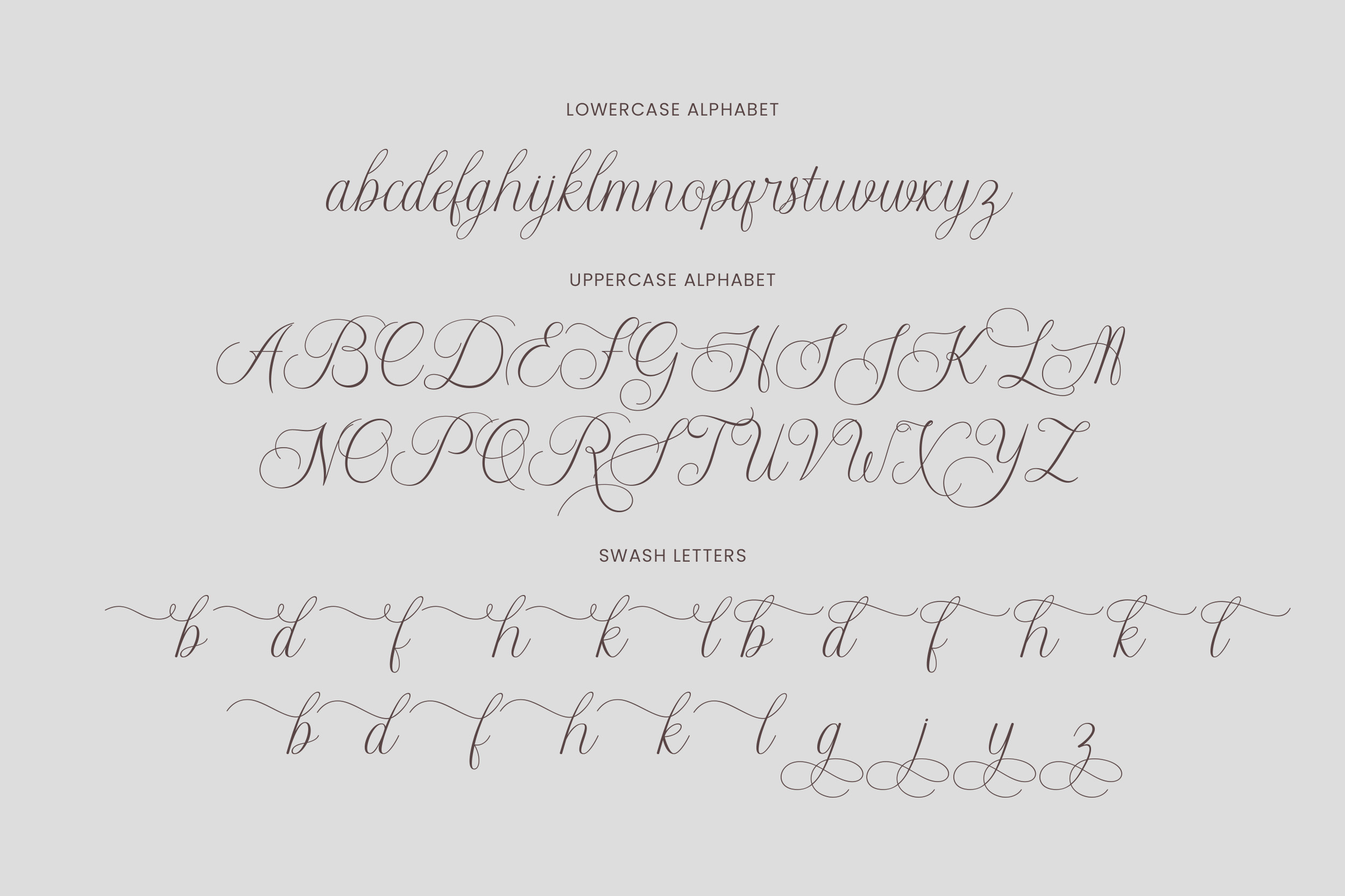 Example of Custom Script Font Design